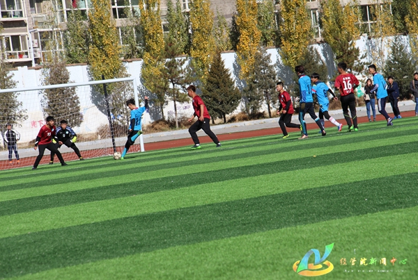 关于策略战术受誉，球队成功挺进四强的信息