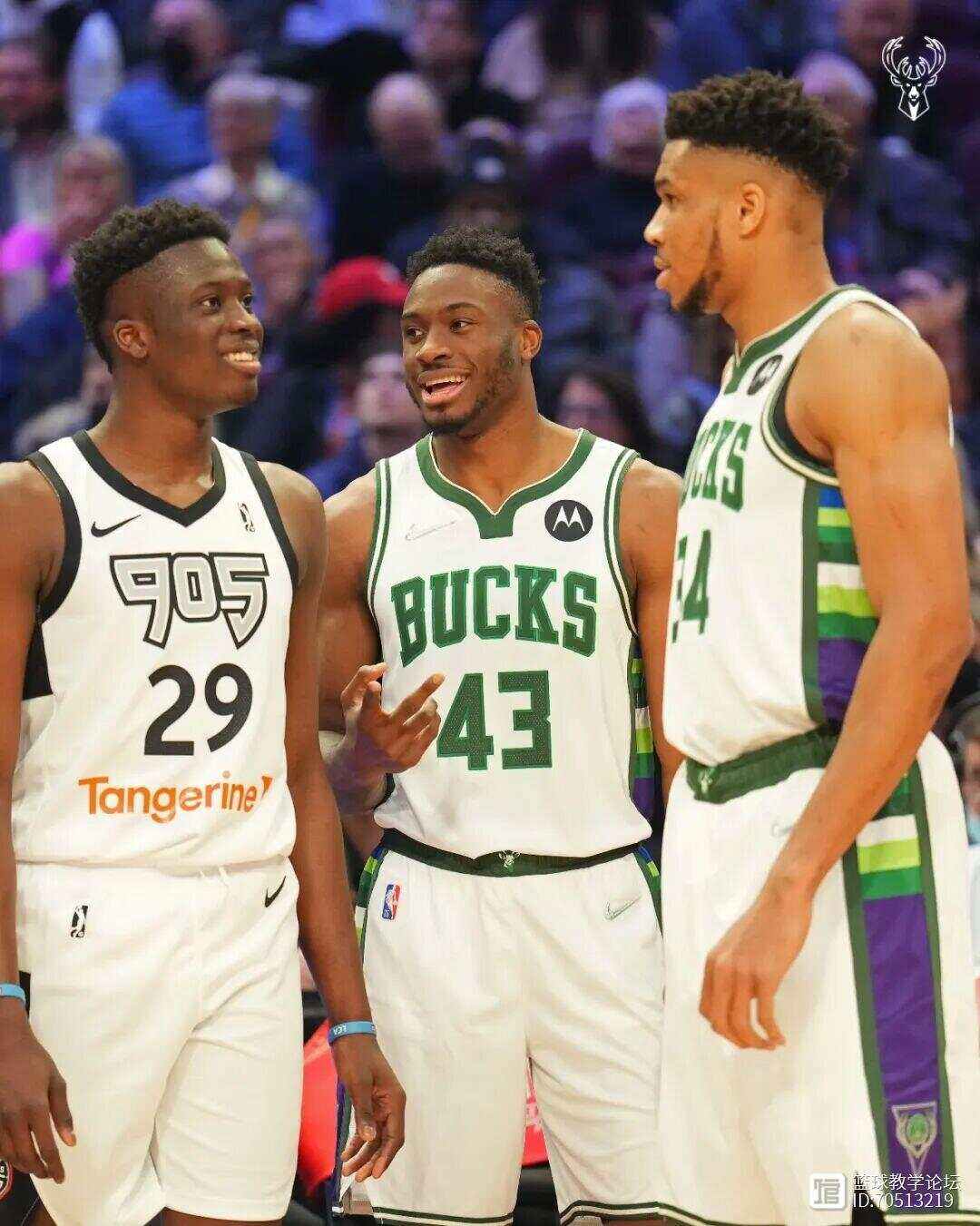 雄鹿惨遭黄蜂逆袭，字母哥发挥不佳！沃克火力全开？的简单介绍