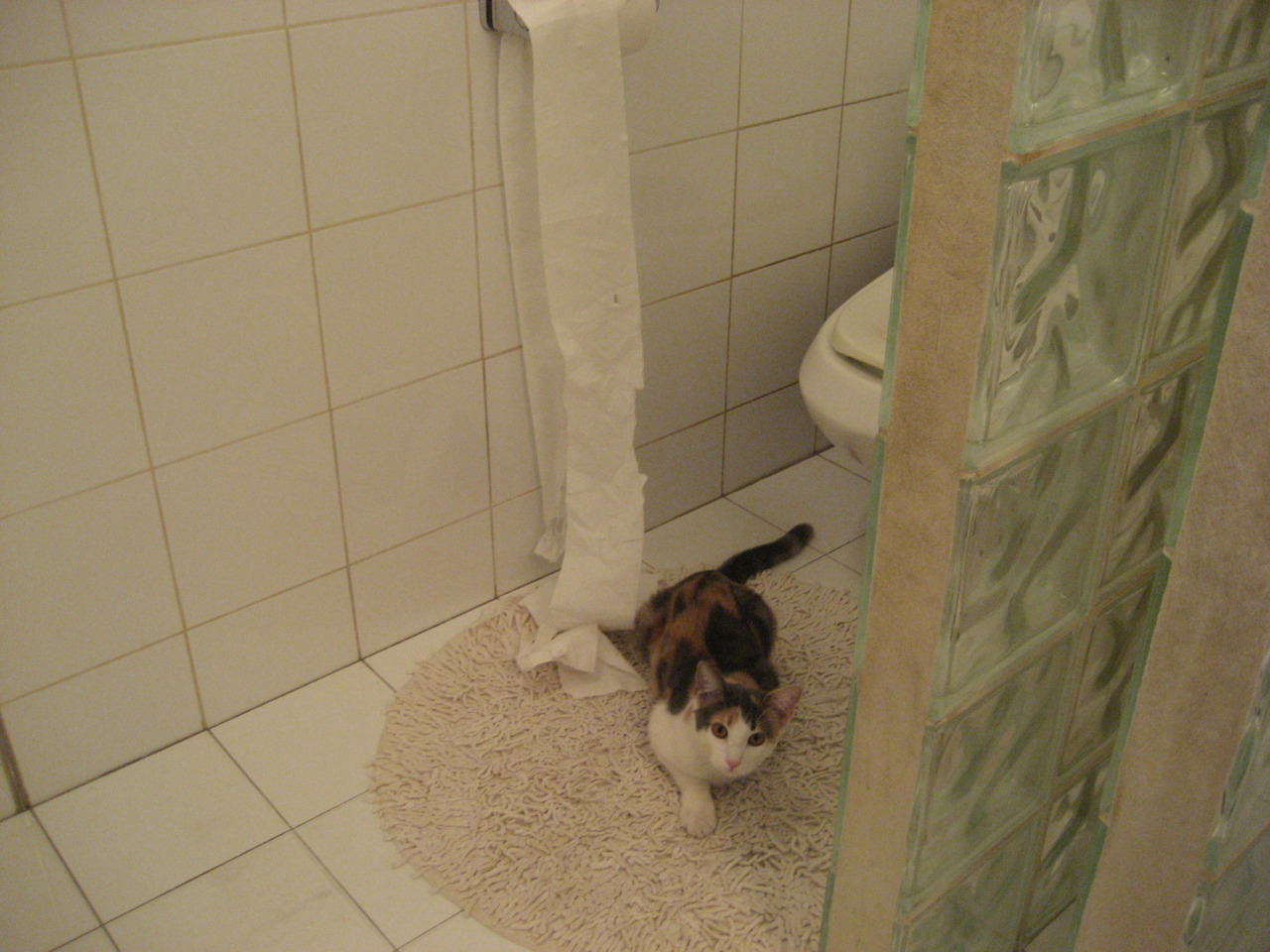 冰与火之歌,新疆队远征费城,贝恩加冕硬仗之王