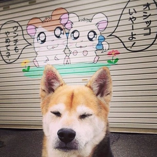 利拉德西征东伐，生涯之夜点燃广厦与湖人的平行对决