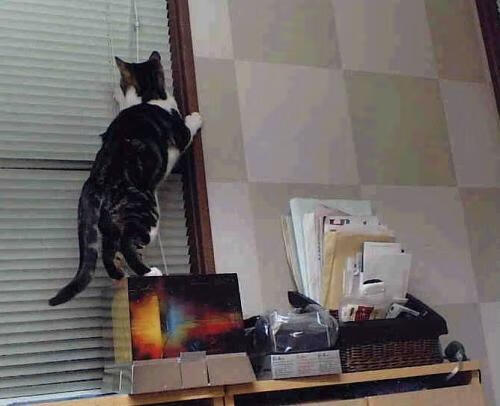 英超争冠今夜血战，昨日回忆里AC米兰如何粉碎利物浦的欧冠梦？