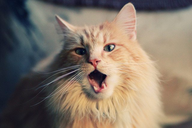 坚韧与救赎，从活塞扼杀骑士到字母哥奥运周期关键战接管比赛