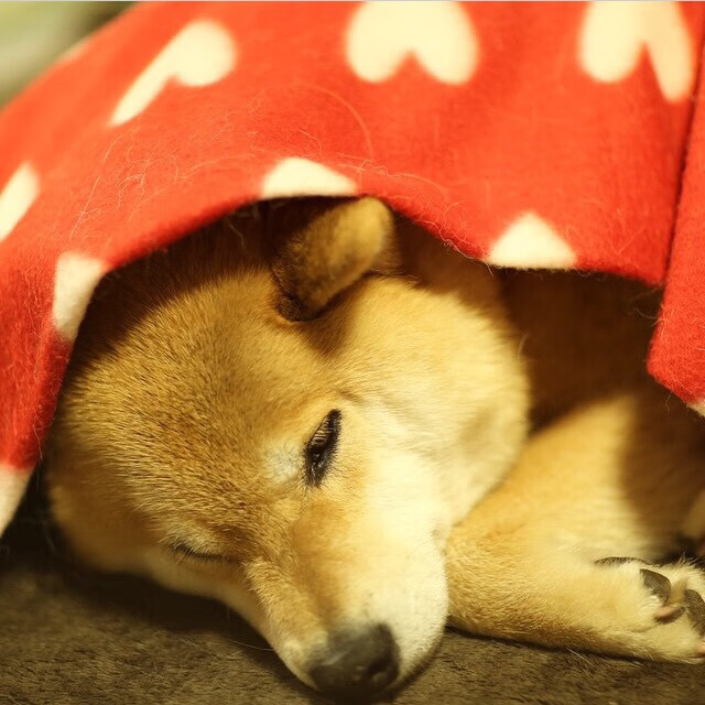 球场上的外交胜利，奥纳纳关键战接管比赛与美国带走南非的战略隐喻