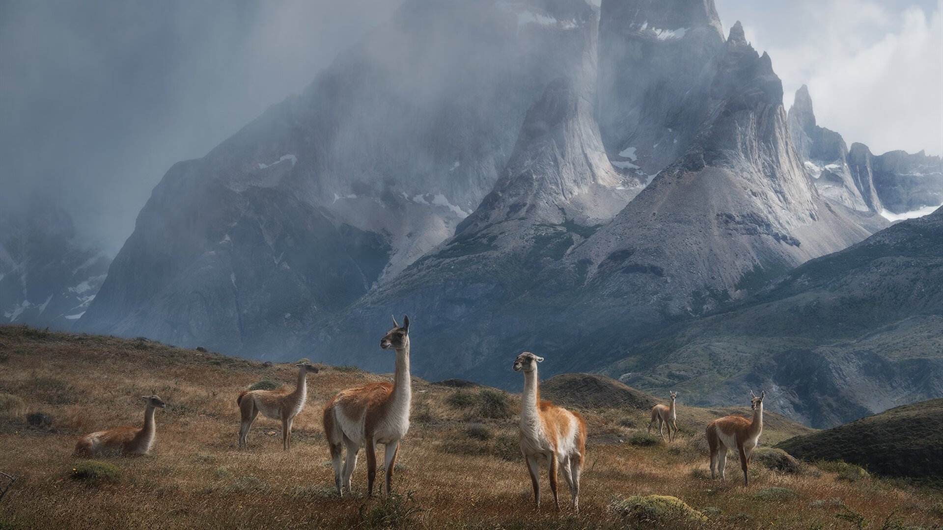 当申城铁闸遇上休斯顿火焰，2026世界杯史诗一战，上海队一波流带走火箭