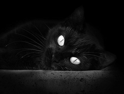 轰鸣赛道与篮球鞋摩擦声，超越赛场的「拉开差距」艺术