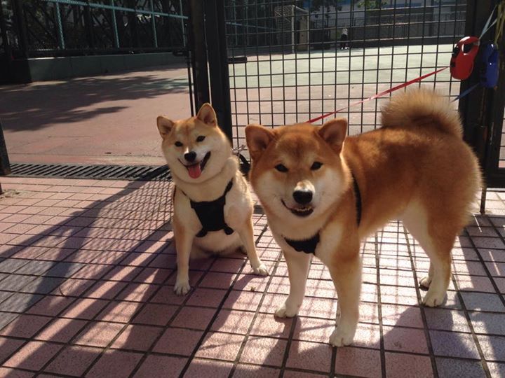 开云下载-中国击溃摩洛哥，罗德里成关键先生